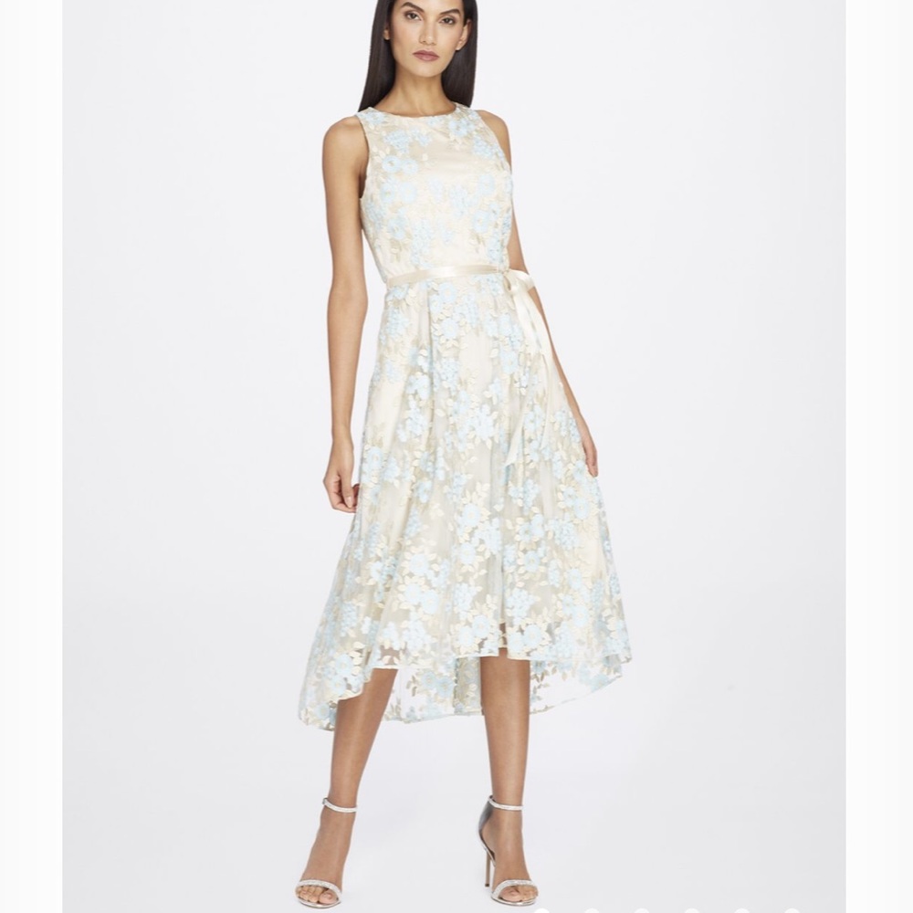 Tahari Floral Embroidered Dress